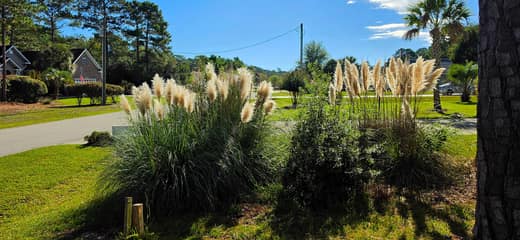 Brierwood Estates photo 13