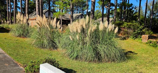 Brierwood Estates photo 14