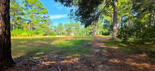 Brierwood Estates photo 49