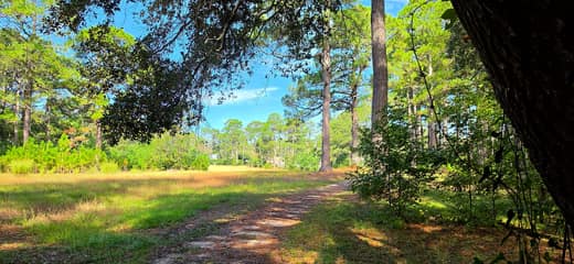 Brierwood Estates photo 50