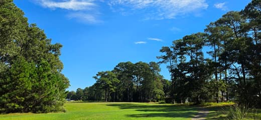 Brierwood Estates photo 65