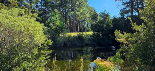 Brierwood Estates photo 74