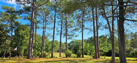 Brierwood Estates photo 84