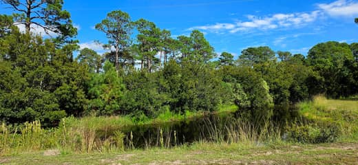 Brierwood Estates photo 86