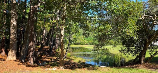 Brierwood Estates photo 90