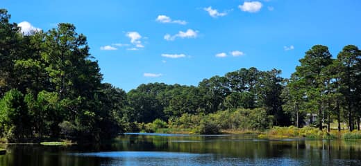 Brierwood Estates photo 95