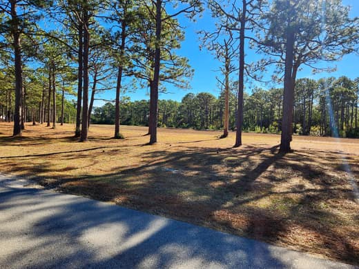 Brierwood Estates photo 104