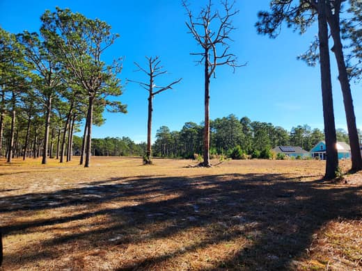Brierwood Estates photo 106