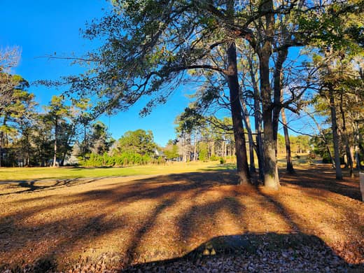 Brierwood Estates photo 111