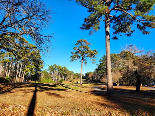 Brierwood Estates photo 115