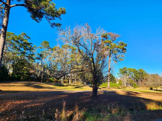 Brierwood Estates photo 116