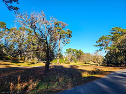 Brierwood Estates photo 117